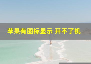 苹果有图标显示 开不了机